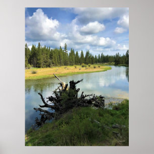 Deschutes River, OF Poster