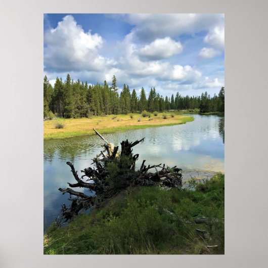 Deschutes River, OF Poster (Voorkant)