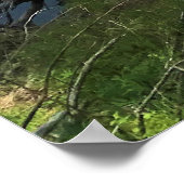 Deschutes River, OF Poster (Hoek)