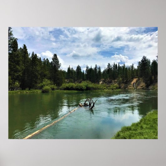 Deschutes River Oregon Poster (Voorkant)