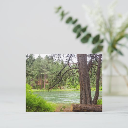 Deschutes River Uitzicht Briefkaart (Staand voorkant)