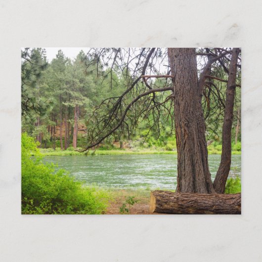 Deschutes River Uitzicht Briefkaart (Voorkant)