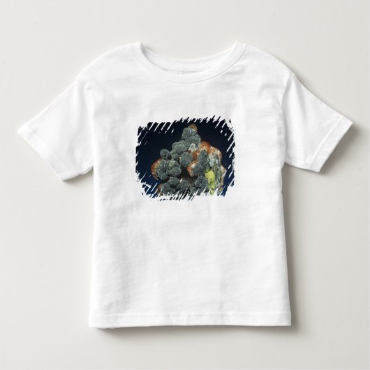 Descloizite op calciet kinder shirts (Voorkant)