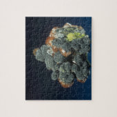 Descloizite op calciet legpuzzel (Verticaal)