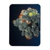 Descloizite op calciet magneet (Verticaal)