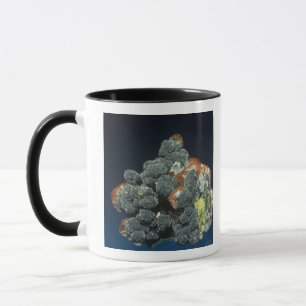 Descloizite op calciet mok