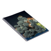 Descloizite op calciet notitieboek (Rechterzijde)