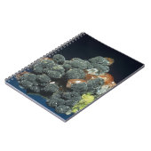 Descloizite op calciet notitieboek (Linkerzijde)