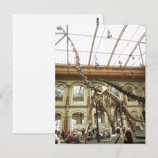 Description Museum of?r Naturkunde, Berlin: Skelet Briefkaart (Voorkant / Achterkant)