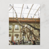 Description Museum of?r Naturkunde, Berlin: Skelet Briefkaart (Voorkant)