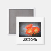 Desert ablaze Arizona Magneet (Voorkant / Achterkant)