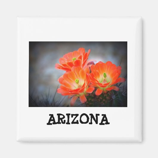 Desert ablaze Arizona Magneet (Voorkant)