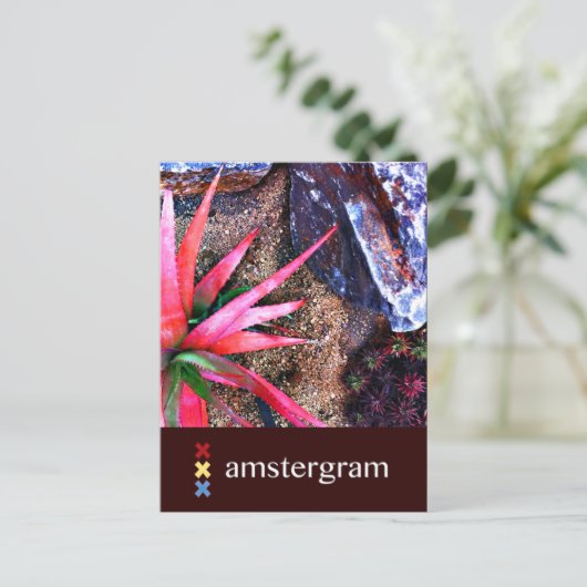 Desert Amsterdam Briefkaart (Staand voorkant)
