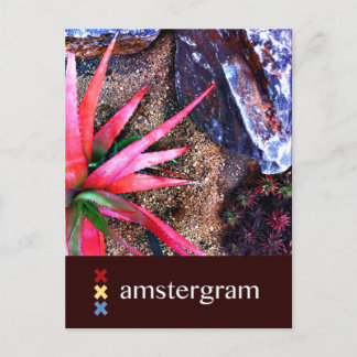Desert Amsterdam Briefkaart