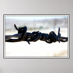 Desert Barbed Wire Poster