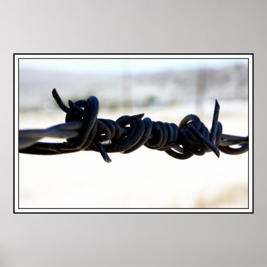 Desert Barbed Wire Poster (Voorkant)