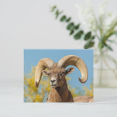 Desert Bighorn Ram Briefkaart (Staand voorkant)