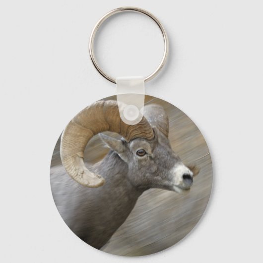 Desert Bighorn Ram Sleutelhanger (Voorkant)