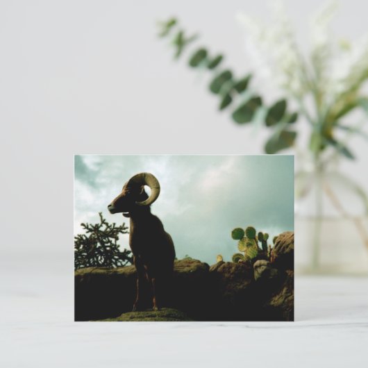 Desert Bighorn Sheep Briefkaart (Staand voorkant)
