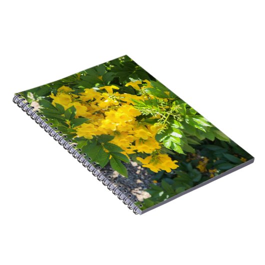 Desert Bloom Notitieboek (Rechterzijde)