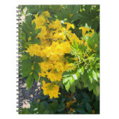 Desert Bloom Notitieboek (Voorkant)