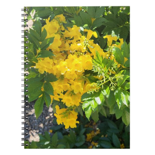 Desert Bloom Notitieboek (Voorkant)