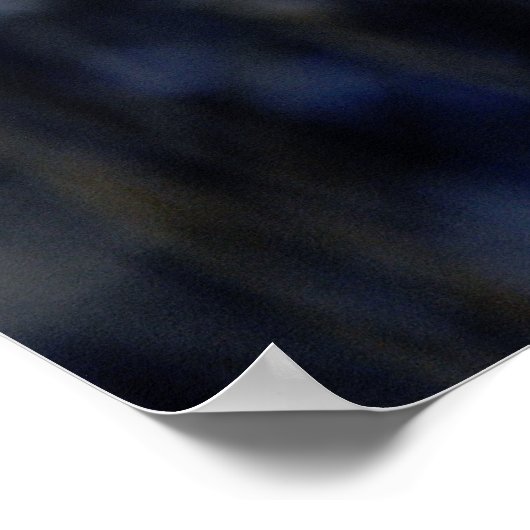 Desert Bloom Poster (Hoek)