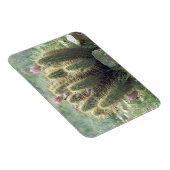 Desert Blooms Cactus Decorative Fridge Magnet Magneet (Rechterzijde)