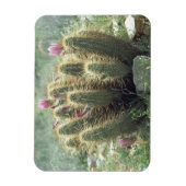 Desert Blooms Cactus Decorative Fridge Magnet Magneet (Verticaal)