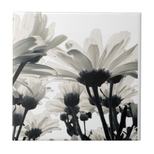 Desert Blooms Case-Mate iPhone Case Tegeltje (Voorkant)