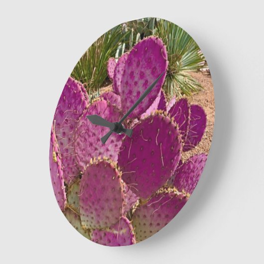 Desert Blooms Grote Klok (Hoek)