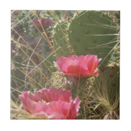 Desert Blooms Tegel Tegeltje