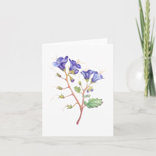 Desert Bluebells Bedankkaart (Voorkant)