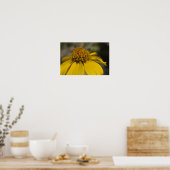 Desert Brittlebrush Blossom Poster (Keuken)