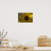 Desert Brittlebrush in bloei Poster (Keuken)