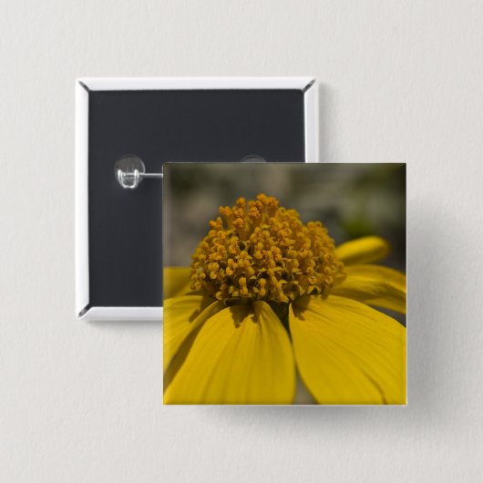 Desert Brittlebrush Square Button (Voorkant /achterkant)