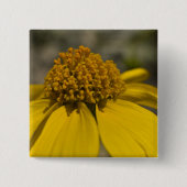 Desert Brittlebrush Square Button (Voorkant)