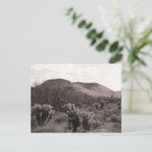 Desert Cacti Jumping Cholla B&W Foto Briefkaart (Staand voorkant)