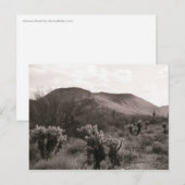 Desert Cacti Jumping Cholla B&W Foto Briefkaart (Voorkant / Achterkant)