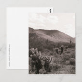 Desert Cacti Jumping Cholla B&W Foto Briefkaart (Voorkant / Achterkant)