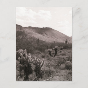 Desert Cacti Jumping Cholla B&W Foto Briefkaart