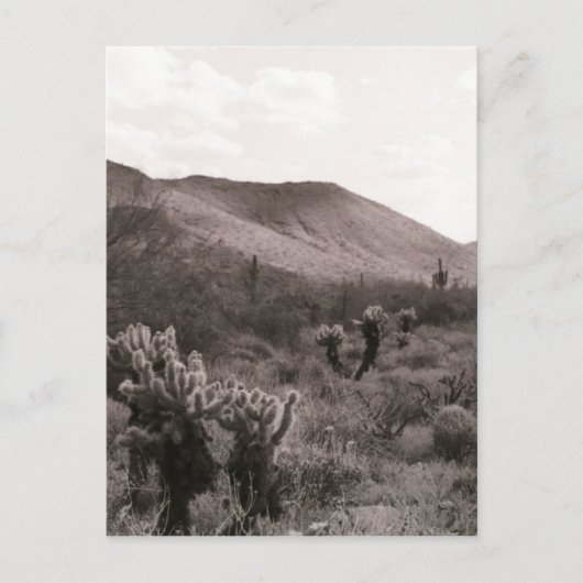 Desert Cacti Jumping Cholla B&W Foto Briefkaart (Voorkant)