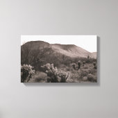 Desert Cacti Jumping Cholla B&W Foto print (Voorkant)