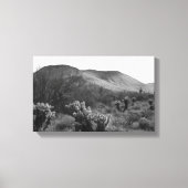 Desert Cacti Jumping Cholla B&W Foto Prints (Voorkant)