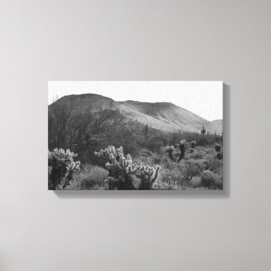 Desert Cacti Jumping Cholla B&W Foto Prints (Voorkant)