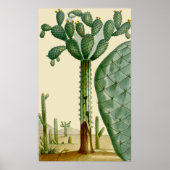 Desert Cacti Scene Poster (Voorkant)