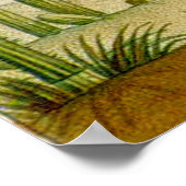 Desert Cacti Scene Poster (Hoek)