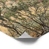 Desert Cactus 16x20 Poster Print Wall Art Decor (Hoek)