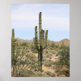Desert Cactus 16x20 Poster Print Wall Art Decor