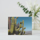 Desert Cactus Briefkaart (Staand voorkant)